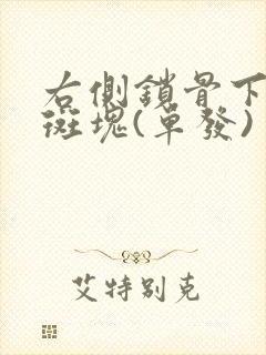 右侧锁骨下动脉斑块(单发)