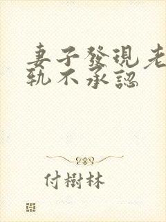 妻子发现老公出轨不承认