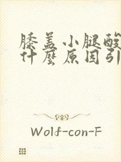 膝盖小腿酸胀痛什么原因引起的女性