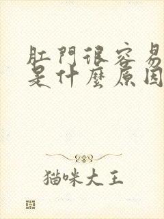 肛门很容易出血是什么原因