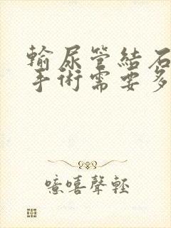 输尿管结石微创手术需要多少钱