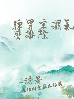 脾胃寒湿气重怎么排除