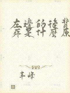 左边的后背局部疼是什么原因