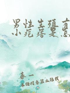 男性生殖有一个小疙瘩是怎么回事