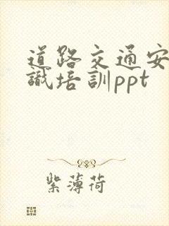 道路交通安全知识培训ppt