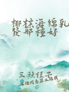 椰棕海绵乳胶沙发哪种好