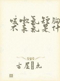 咳嗽气短胸闷上不来气是什么原因