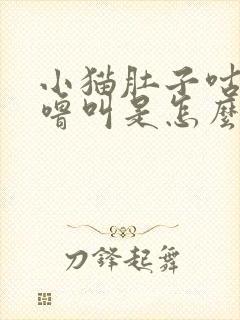 小猫肚子咕噜咕噜叫是怎么回事儿