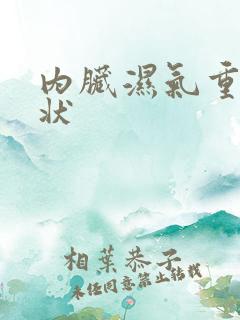 内脏湿气重的症状