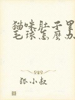 猫咪肚子里都是毛球怎么办