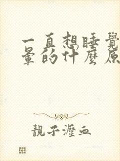 一直想睡觉头晕晕的什么原因