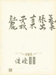 肚子有胀气想放屁放不出来