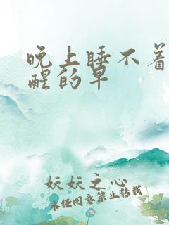 晚上睡不着早上醒的早