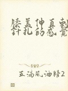 膝盖伸直刺痛像针扎的感觉