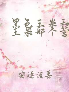 黑色玉米和普通玉米哪个营养比较高