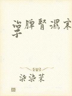 治脾肾湿寒的方子