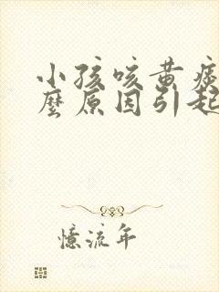 小孩咳黄痰是什么原因引起的