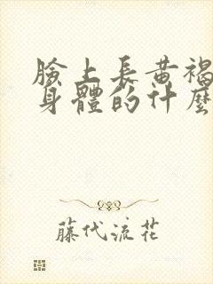 脸上长黄褐斑是身体的什么原因造成的