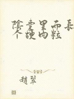 阴囊里面长了一个硬肉粒