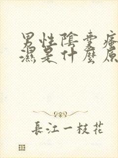 男性阴囊瘙痒潮湿是什么原因