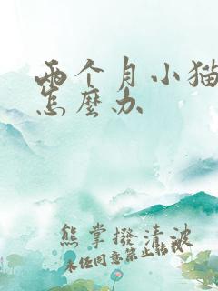 两个月小猫乱尿怎么办