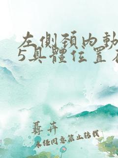 左侧颈内动脉c5具体位置在哪