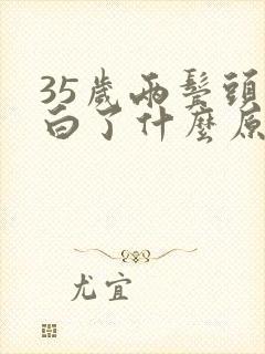 35岁两鬓头发白了什么原因