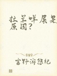 拉羊咩屎是什么原因?