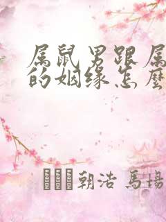 属鼠男跟属马女的姻缘怎么样