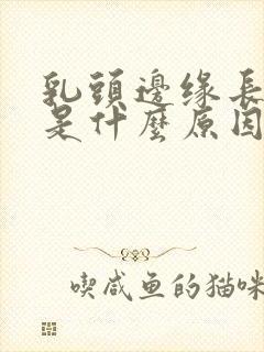 乳头边缘长疙瘩是什么原因