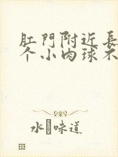 肛门附近长了一个小肉球不痛不痒