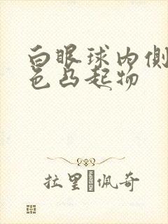 白眼球内侧有白色凸起物