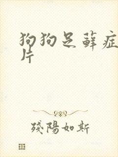 狗狗足藓症状图片