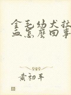 金毛幼犬拉屎带血怎么回事