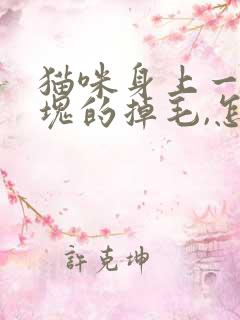 猫咪身上一块一块的掉毛,怎么办