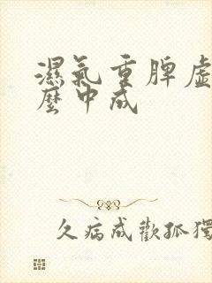 湿气重脾虚吃什么中成