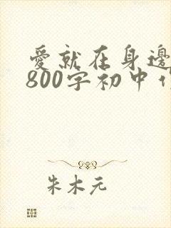爱就在身边作文800字初中作文