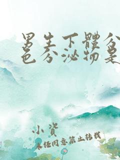 男生下体分泌白色分泌物是什么原因