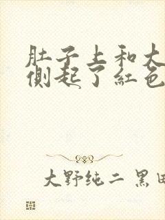 肚子上和大腿内侧起了红色的疙瘩痒