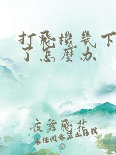 打飞机几下就射了怎么办