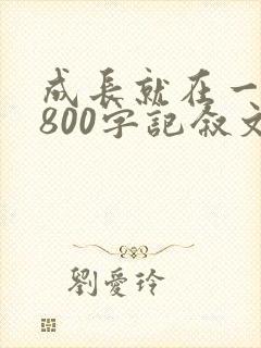 成长就在一瞬间800字记叙文