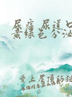 尿痛 尿道口有黄绿色分泌物