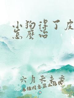 小狗得了皮肤病怎么治