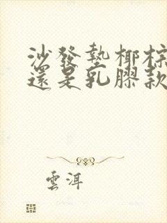 沙发垫椰棕款好还是乳胶款好