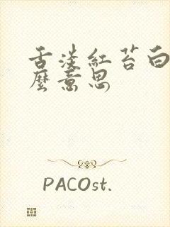 舌淡红苔白是什么意思