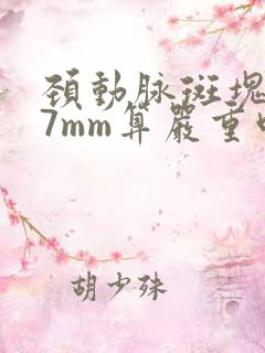 颈动脉斑块1·7mm算严重吗