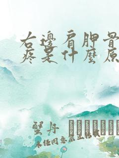 右边肩胛骨下边疼是什么原因