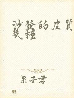 沙发的皮质有哪几种