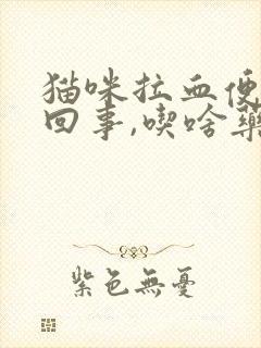 猫咪拉血便怎么回事,吃啥药