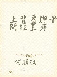 上背肩胛骨和中间位置疼